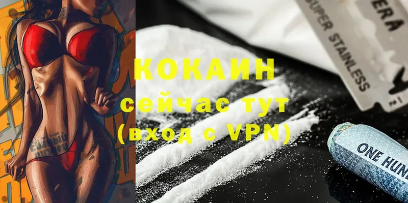 где купить   Балей  Кокаин FishScale 