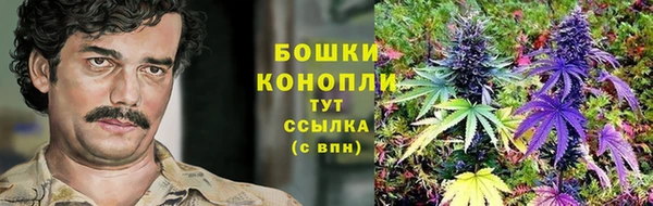 сатива Верхний Тагил